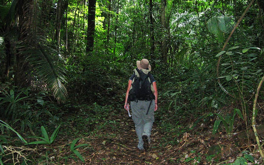 Belize Overnight Jungle Tour